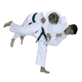 judo-gibasic_cut